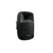 OMNITRONIC VFM-210 2-way Speaker