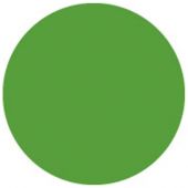 Showgear Colour Roll 122 x 762 cm Varengroen 