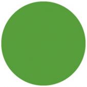 Showgear Kleurenvel 122 x 55 cm Groen 