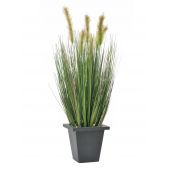 EUROPALMS Moor-gras in pot, kunstmatig, 60cm