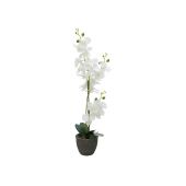 EUROPALMS Orchidee kunstplant, wit, 80cm