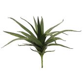 EUROPALMS Aloe (EVA), kunstmatig, groen, 50cm