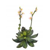 EUROPALMS Houseleeks (EVA), kunstmatig, roze, 32cm