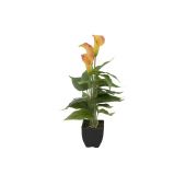 EUROPALMS Mini Calla, kunstplant, geeloranje, 43cm