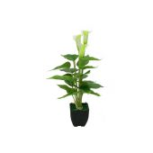 EUROPALMS Mini Calla, kunstplant, wit, 43cm