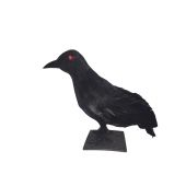 EUROPALMS Halloween Raven 30x11x23cm