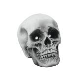 EUROPALMS Halloween skull 21x15x15cm LED