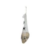 EUROPALMS Halloween Figure Skull in Spider Web, 30cm