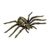 EUROPALMS Halloween Spider, gold