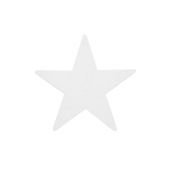 EUROPALMS silhouet  ster, wit, 58cm