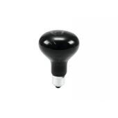 OMNILUX R80 230V / 75W E-27 UV