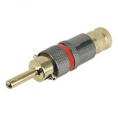 Dap audio Professional Pomona Plug