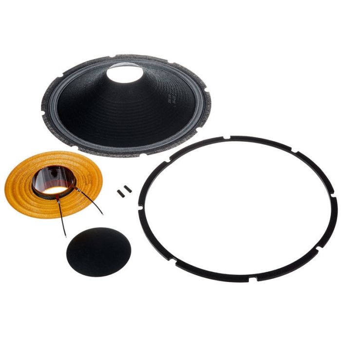 Electro Voice DVX3150 -ZXA5 woofer recone service