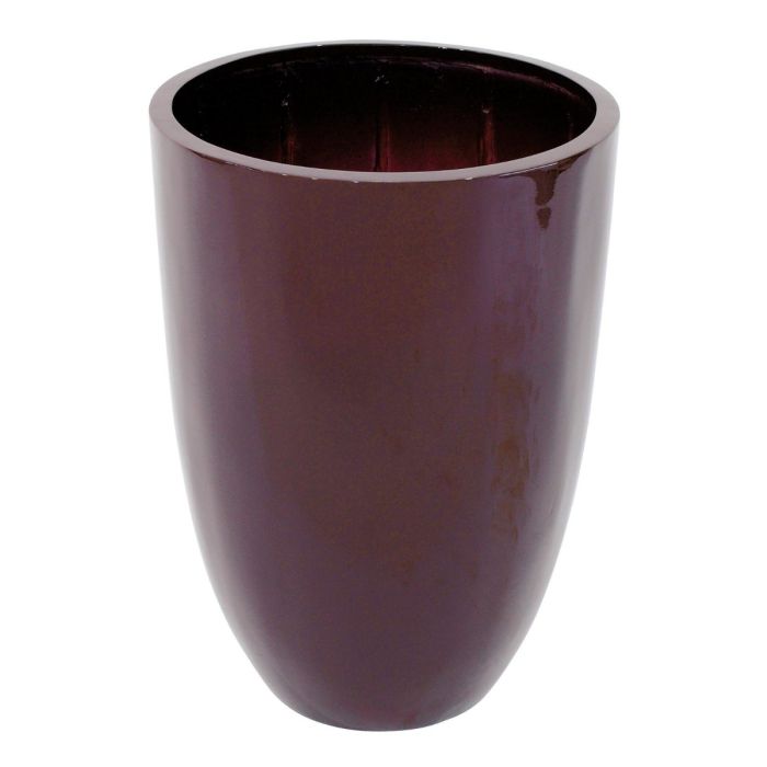 EUROPALMS LEICHTSIN CUP-69, glanzend bruin