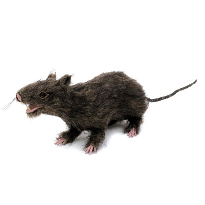 EUROPALMS Rat, lifelike with coat 30cm