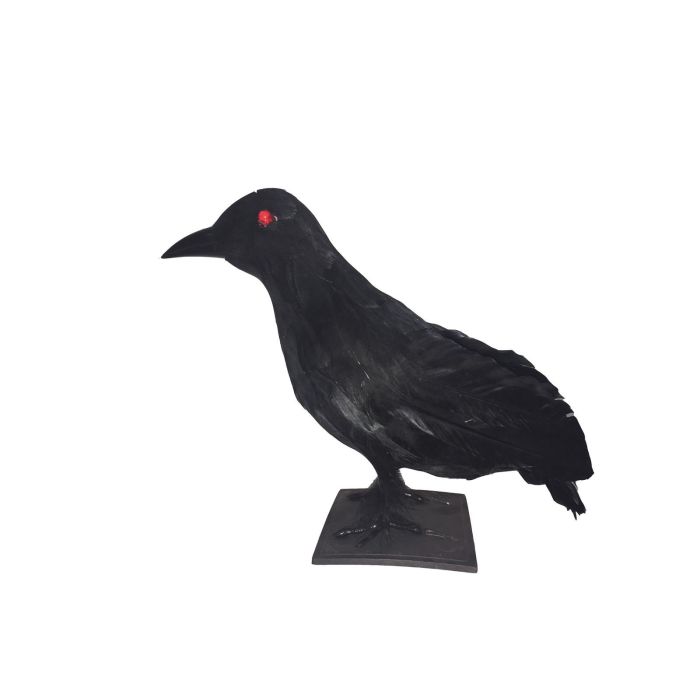 EUROPALMS Halloween Raven 30x11x23cm