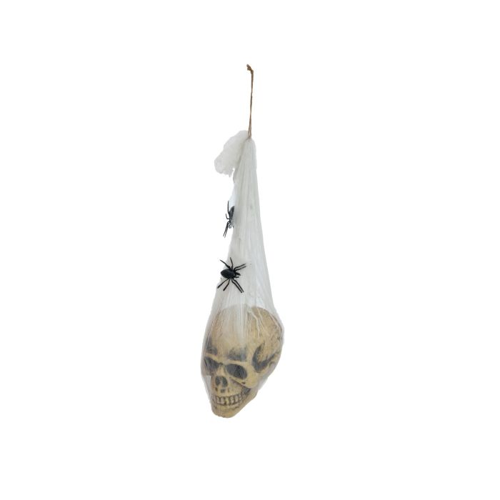 EUROPALMS Halloween Figure Skull in Spider Web, 30cm