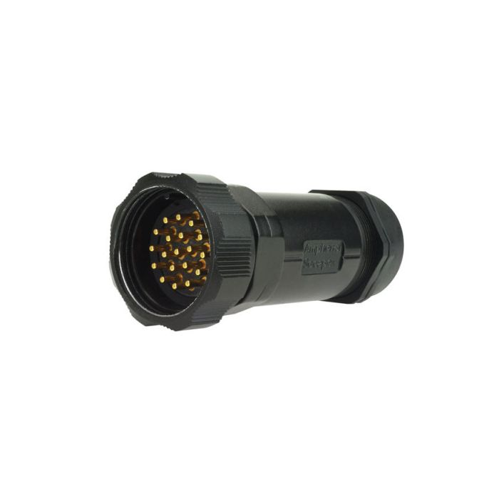 Socapex 19 Pin male cable connector PG29 IP67