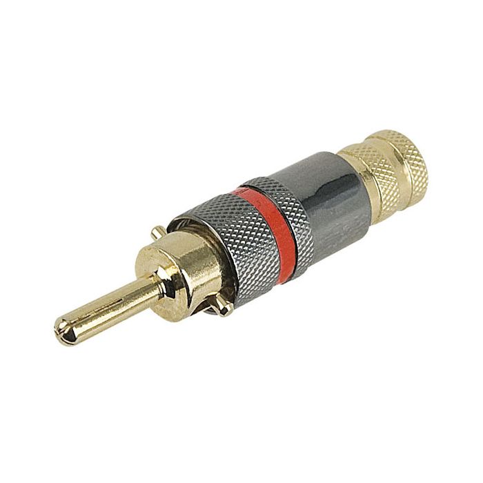 Dap audio Professional Pomona Plug